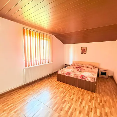 Vila Dragomir-2
